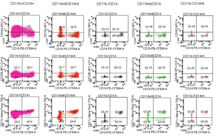 Subsequently, T-cells (CD3+CD19-), B-cells (CD3-CD19+) and myeloid cells (CD3-CD19-) were