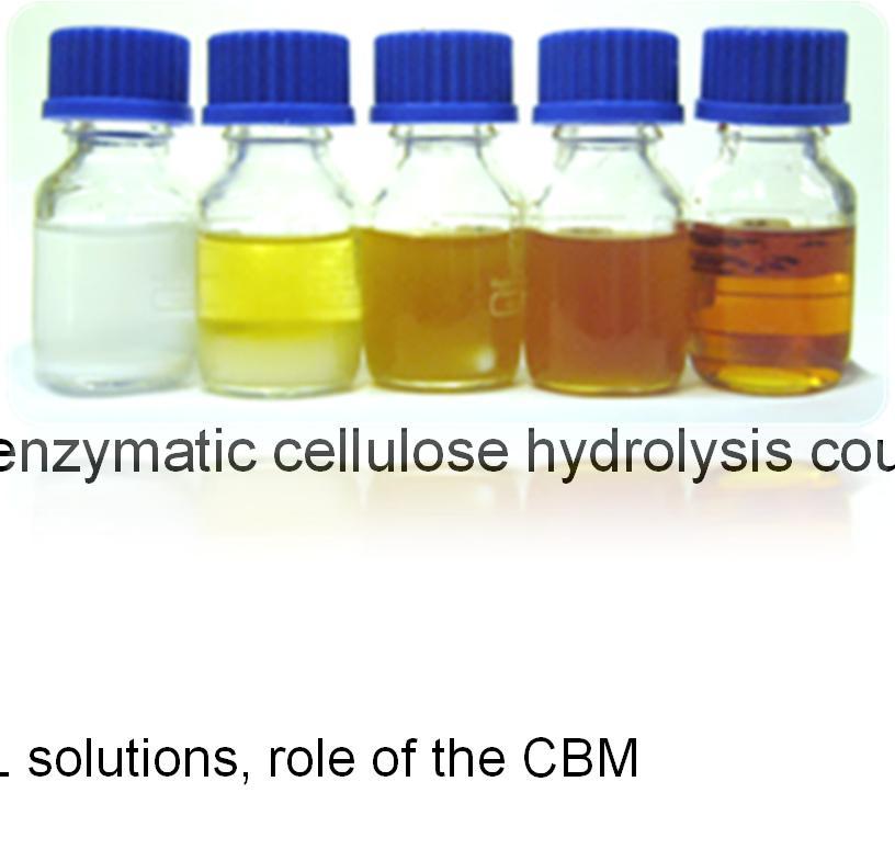 Conclusions Several different factors limiting enzymatic cellulose hydrolysis could be elucidated ph Thermo- and alkalistability Cellulose substrate binding in IL solutions, role of the CBM