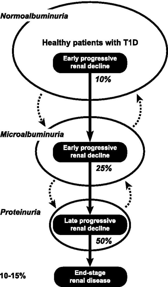 A new paradigm of T1DM nephropathy PERL: Preventing Early