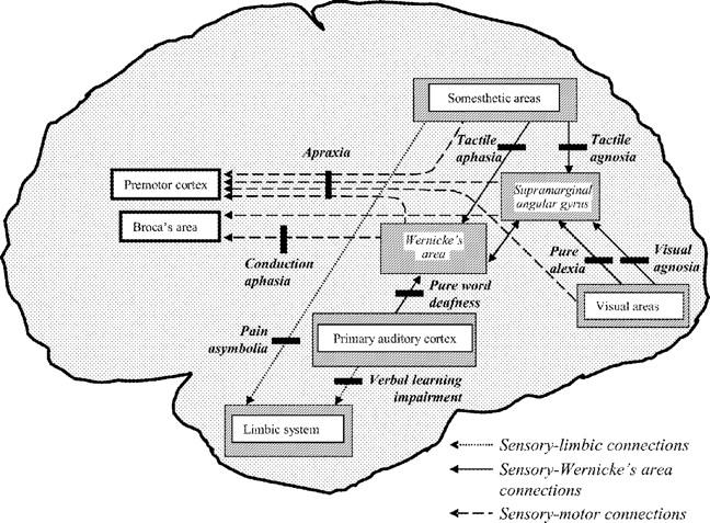 Schizophrenia - a broken hermeneutic circle Disconnection hypotheses of schizophrenia Geschwind s (general) disconnection syndromes (1965) The pathways implicated in the principle syndromes described