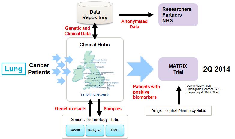 Basket Studies In Lung Cancer Are being done at a National level MATRIX National Lung