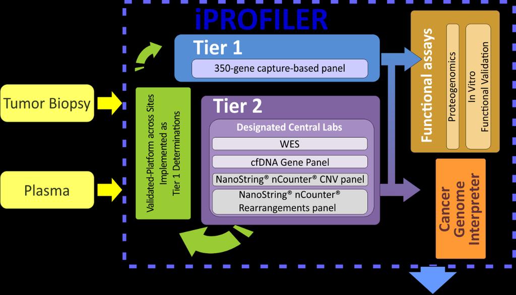 Basket of Baskets: iprofiler Multiplexed NGS platform Sample optimization CDx Two tiers Tier 1: customized, certified NGS panels in each center Rapid turnover Diminishing patient attrition Companion