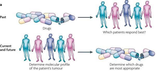 Clinical development of trastuzumab: Challenges and opportunities of precision medicine HER2 HER2 HER2 Breast Cancer Precision drugs are targeted to specific cancer genes Yap et al.