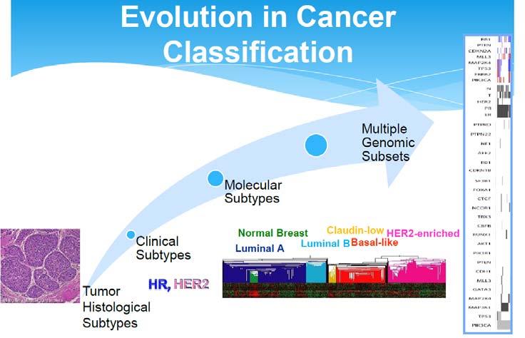 40% Somatic Gene Alterations in 128 Cancer Relevant Genes in 962 Breast Cancers in TCGA 35% 30% 25% 20% Which of these are therapeutically actionable?