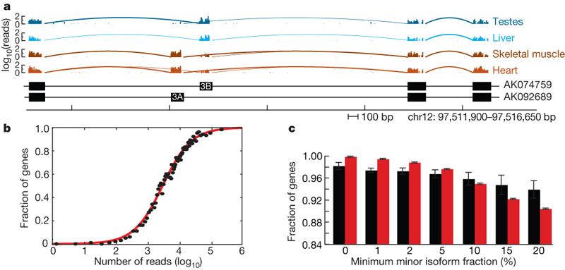 Tissue-specific alternative splicing Shown What are mrna-seq are micrornas? reads mapping to a portion of the SLC25A3 gene locus. SLC25a3 is a mitochondrial phosphate carrier.