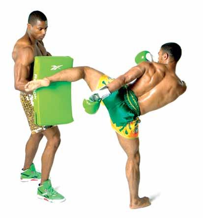 Body Pad/Shield Thai Pads Durable protector for absorbing body kicks and punches.