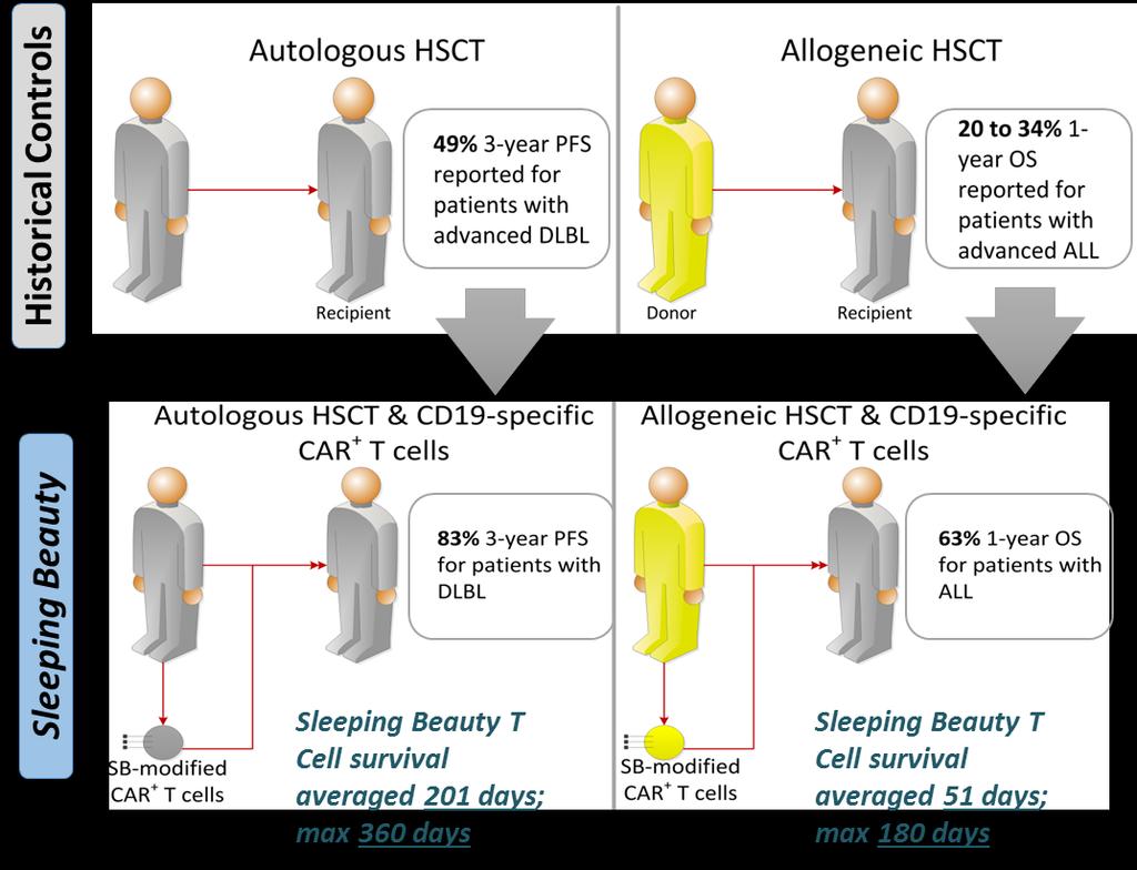1 st generation trial: Evaluate SB system (first-in-human studies) 1 st generation SB platform in two trials infusing CAR + T cells after HSCT showed favorable PFS and OS in both