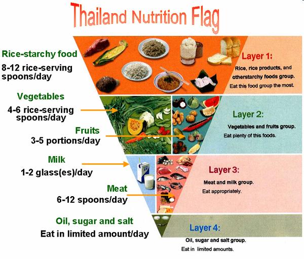 Introduction According to Thailand Nutrition Flag adolescent daily diets should have