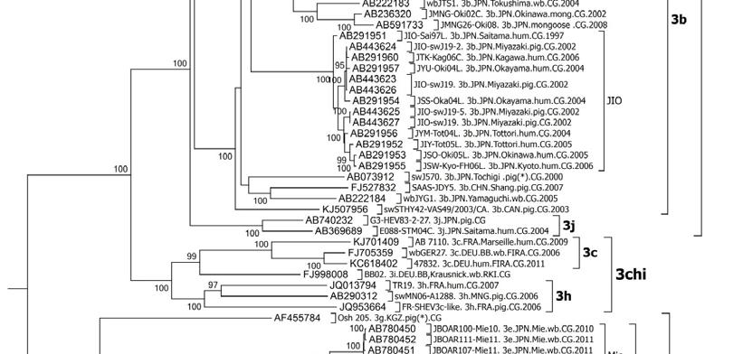 Viruses 2015, 7 2710 Figure 1. Molecular Phylogenetic analysis of 166 complete HEV genomes by Maximum Likelihood method based on the Kimura 2-parameter model.