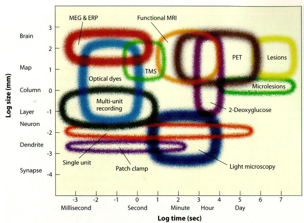 CHAPTER 2. METHODS Fig. 2-15: Comparison of the temporal and spatial resolution of most of the currently available methods of investigating brain function (reproduced from Gazzaniga et al., 1998, Fig.