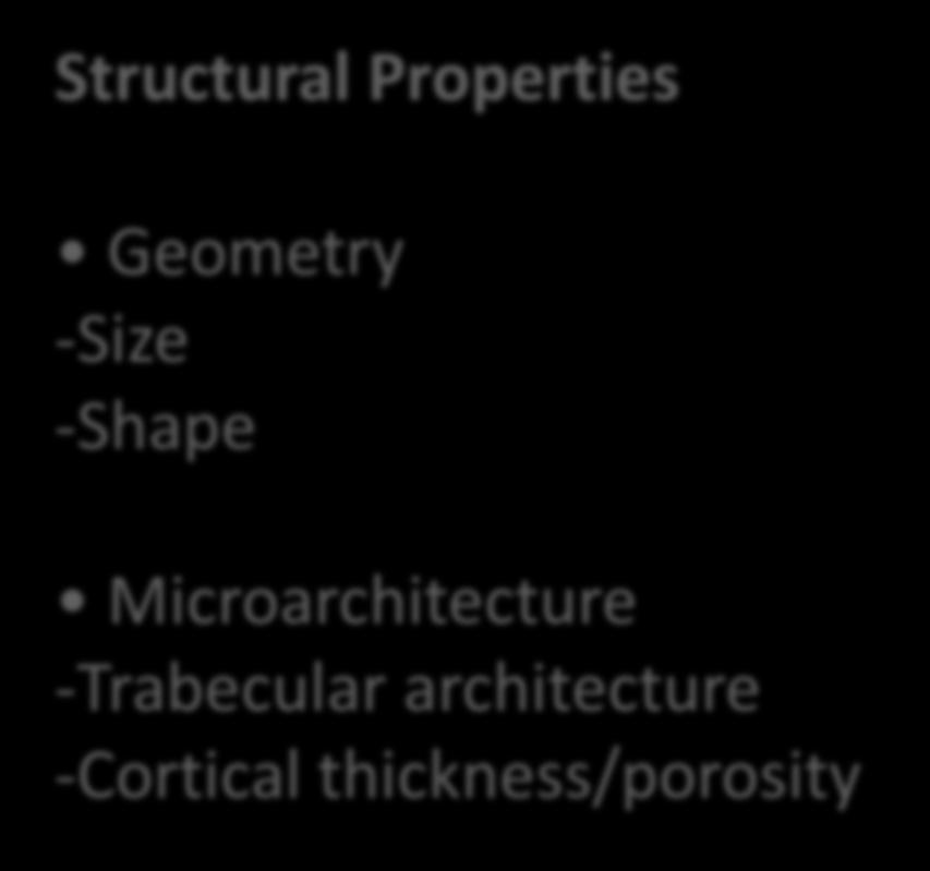 thickness/porosity Material Properties Mineral