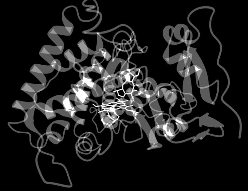 2. Bioinformatics Figure S2a. Model of CotB3 harboring cyclooct-9-en-7-ol.