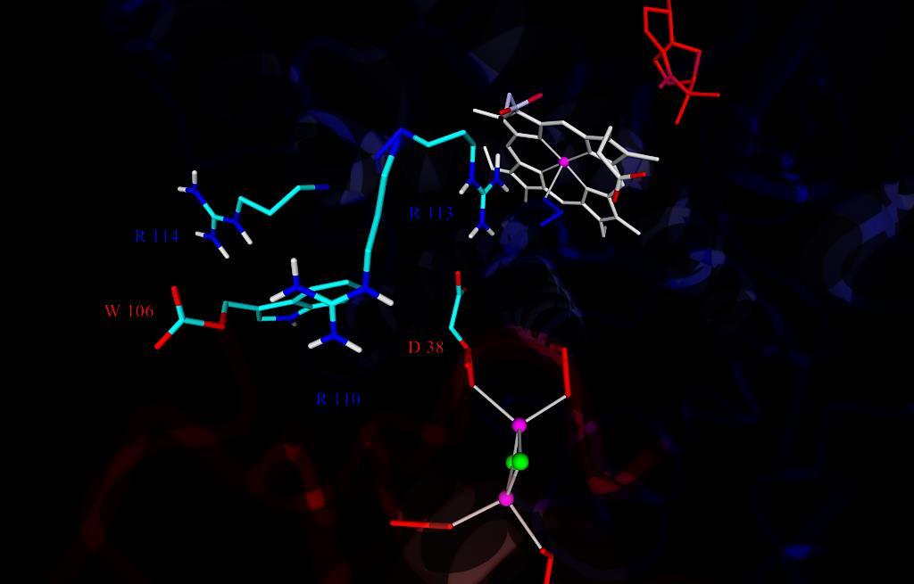 Figure S2h. Inner view of the Cotb3 Pdx complex (dark blue red). Pdx contains inorganic Fe2/S2-cluster (green/magenta).