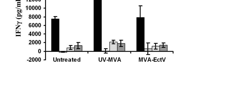 Figure 4-3 Cyclin B1-specific T cells were found in the lymph nodes of all mice Lymph nodes from 2 untreated, UV-MVA treated, and MVA + Ectromelia treated mice were harvested 60 days after the final