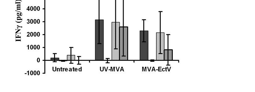 Figure 4-4 Cyclin B1-specific T cells were found in the lymph nodes of all mice Spleens from untreated (n = 3), UV-MVA treated n = 2), and MVA + Ectromelia treated (n = 3) mice were harvested 60 days