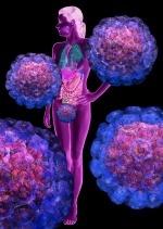 Human Papilloma Virus Human Papilloma Virus (HPV) is a highly prevalent sexually transmitted disease Affects 80% women of all women during their lifetime 300 million woman infected worldwide 11.