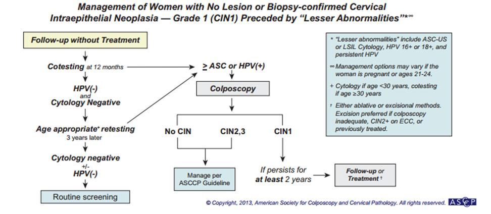 Shortcomings of Current Management HPV and Low Grade Lesions No standard treatment exists Complicated, tedious surveillance recommendations Low adherence to surveillance protocol Geographic