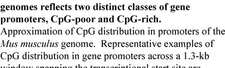 The CpG dinucleotide is underrepresented in the genome as a