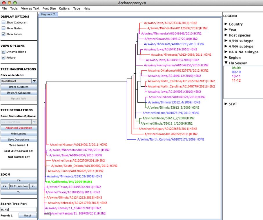 Classical H3N2 H3N2v +ph1n1 h. Find the ph1n1 sequence in the tree by typing in H1N1 in the Search Tree For box. The A/California/04/2009 strain will be highlighted in green.