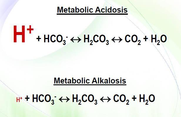 Respiratory Acidosis Respiratory Alkalosis Metabolic Acidosis Metabolic Alkalosis -increased concentrartion of CO2 -the reaction shifts to the left -protons