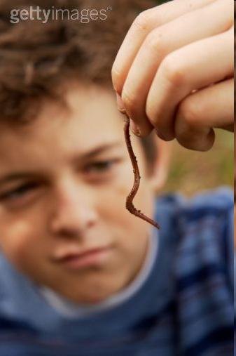 Biota dose assessment: Who cares about radiation protection for earthworms anyway?