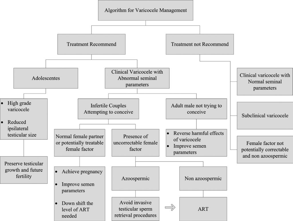 The role of varicocele repair in the new era of assisted reproductive technology CLINICS 2008;63:395-404 Figure 1 - Algorithm for Varicocele Management.