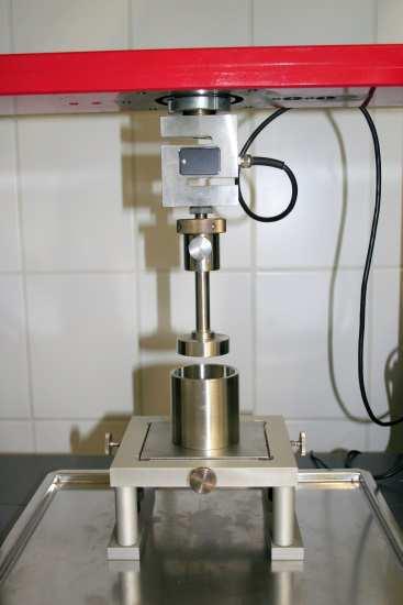 shaped, horizontal surface that exerted the pressure on the sample (Picture 1).