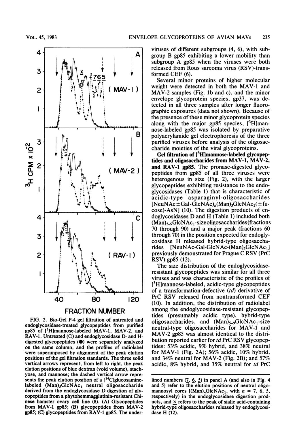 VOL. 45, 1983 4 3 2-1 cm 3 '0 x 2 2- O I 4-3 2 ENVELOPE GLYCOPROTEINS OF AVIAN MAVs 235 viruses of different subgroups (4, 6), with sub- A group B gp85 exhibiting a lower mobility than subgroup A