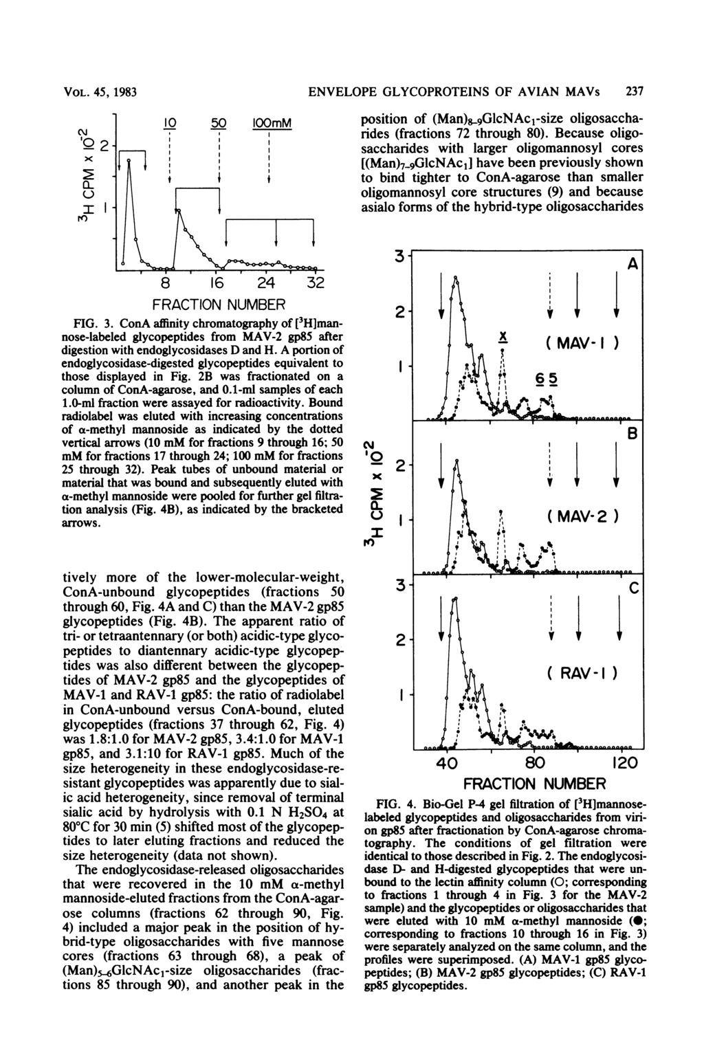 VOL. 45, 1983 2- x 10 I-) a:ii 10 50 loomm t I i ENVELOPE GLYCOPROTEINS OF AVIAN MAVs 237 position of (Man)89GlcNAc1-size oligosaccharides (fractions 72 through 80).