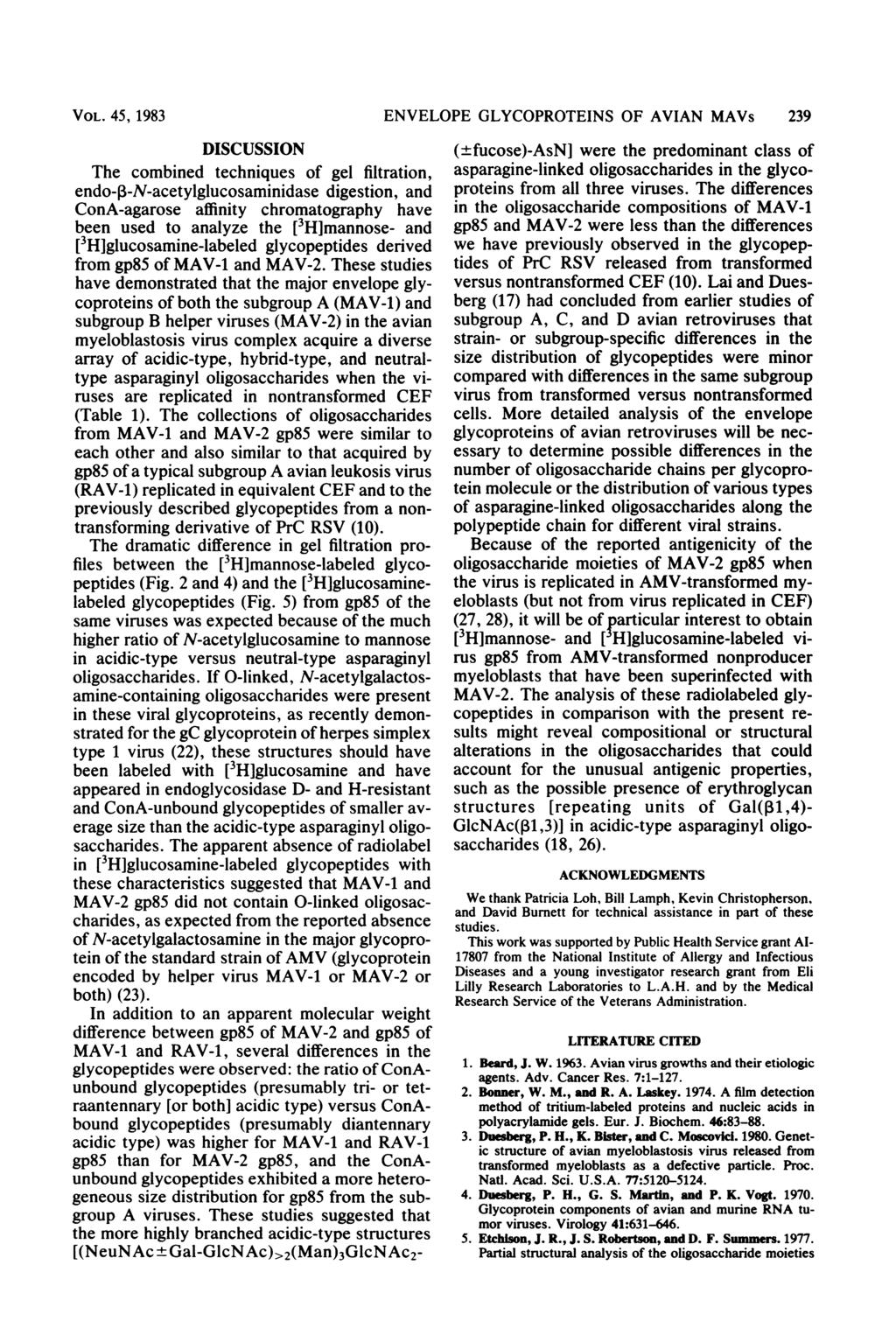 VOL. 45, 1983 DISCUSSION The combined techniques of gel filtration, endo-,-n-acetylglucosaminidase digestion, and ConA-agarose affinity chromatography have been used to analyze the [3H]mannose- and
