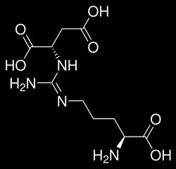 Argininosuccinate Lyase Important for Production of Arginine