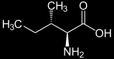 Pyruvate Family Leucine (LEU) /Valine (VAL) /Isoleucine (ILE) Metabolism Branched Chain
