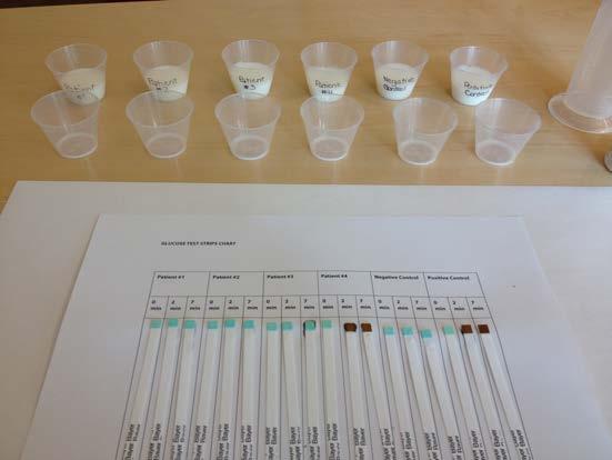 Determining baseline (time 0) glucose levels. 5. Use six glucose test strips to test the baseline (i.e., before the experiment) glucose levels of the intestinal fluids of the four patients and the two controls.