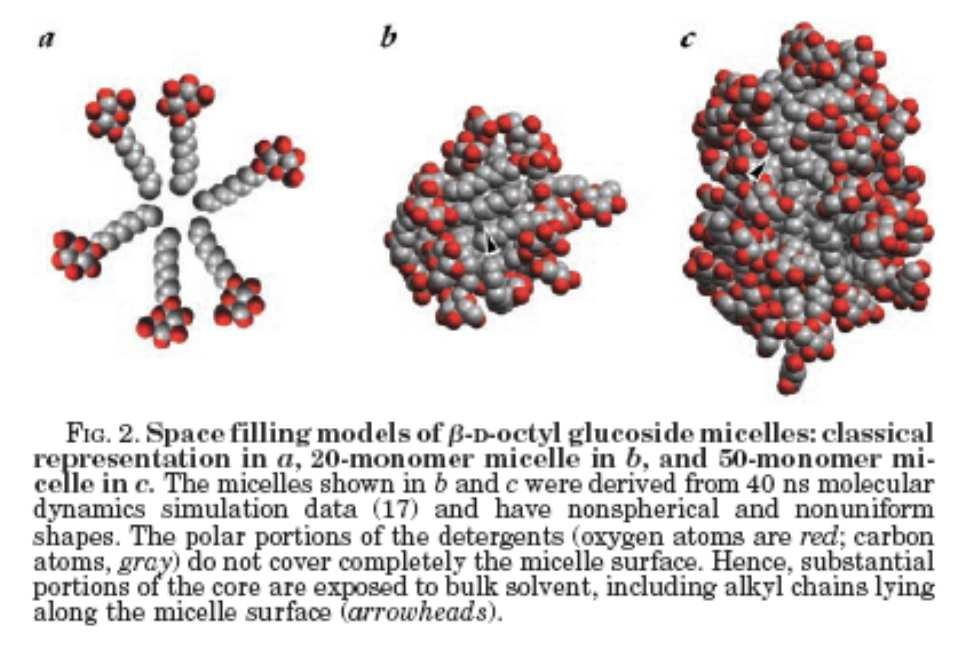 Lipid bilayers