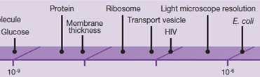 signal transduction Composition: