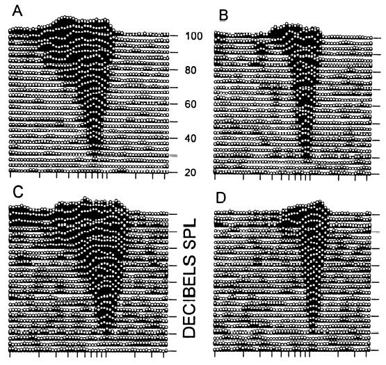 Receptive Field of an auditory neuron: Tuning Curves and Spectral Response Plots Use tone pips/bursts. Vary frequency and intensity. Record driven spike-rate.