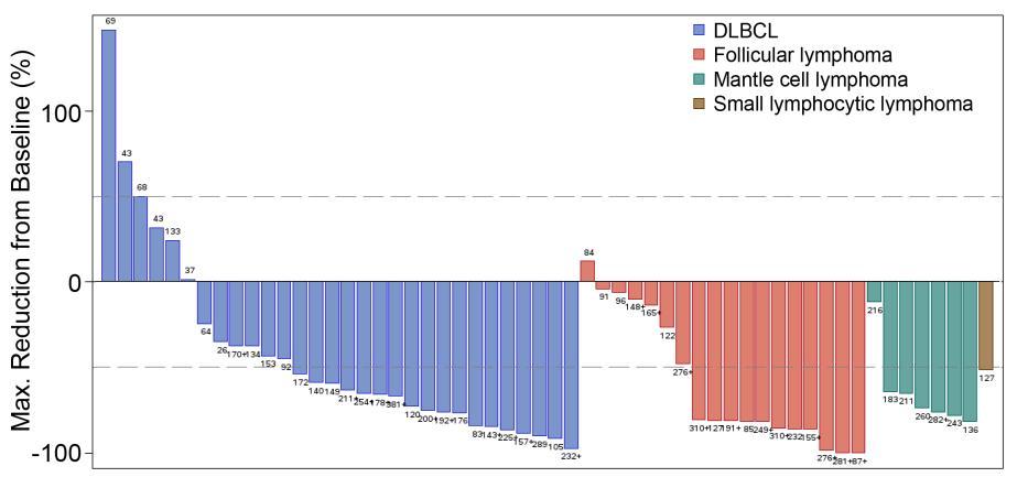 Antibody drug conjugate in MZL Phase I : anti-cd22 ADC +/- Rituximab n = 65 patients 39