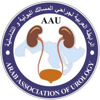 Arab Journal of Urology (2012) 10, 372 377 Arab Journal of Urology (Official Journal of the Arab Association of Urology) www.sciencedirect.