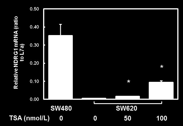 Figure 3.5 NDRG1 mrna in SW620 after TSA treatment. NDRG1 mrna level was tested in SW480 and SW620 treated with TSA (0, 50, and 100 nmol/l) for 48 h.