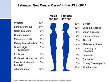 Cancer Screening for Women 2017 Breast, Colon, and Lung Cancer Jeffrey A.