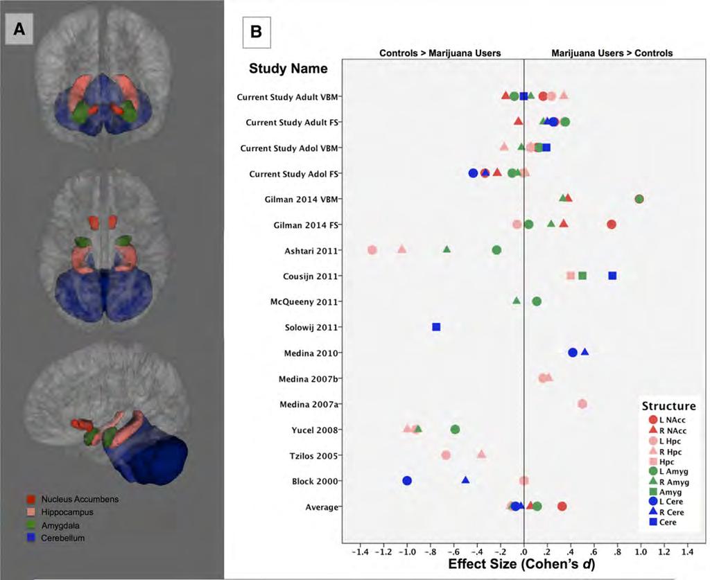 Daily marijuana use not associated with brain morphometric measures in 2015 study that matched MJ and non MJ users on