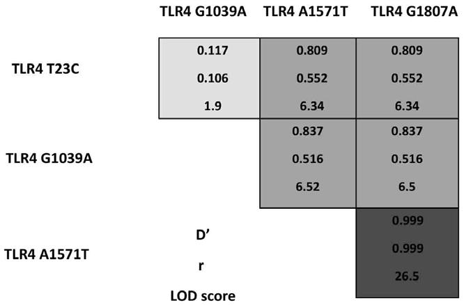 Figure 1. Linkage disequilibrium of single nucleotide polymorphisms in canine TLR4.