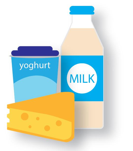 3 REDUCED FAT DAIRY SUCH AS UNFLAVOURED MILK AND YOGHURT, AND CHEESE Within a healthy eating pattern; milk, yoghurt and cheese will be important sources of calcium, protein and other vitamins and