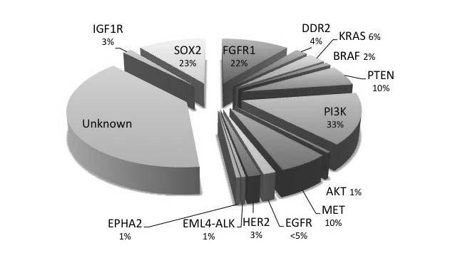Elisabeth Brambilla 34 Gene expression subtypes of SQC EGFR mutants in lung adenocarcinoma Somatic EGFR mutations found in