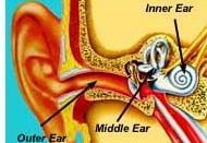 Ear wax traps dust, sand, and other foreign