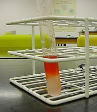 Sudan Red test for lipids Sudan red is a fatsoluble dye that stains