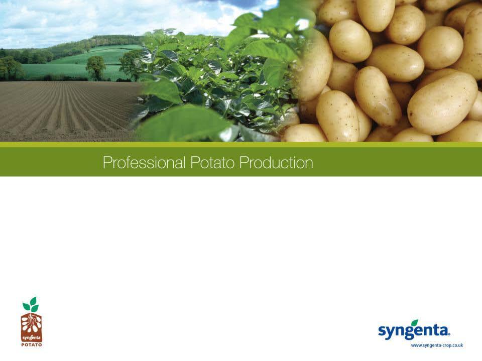 If you would like more information or wish to discuss any of Syngenta s