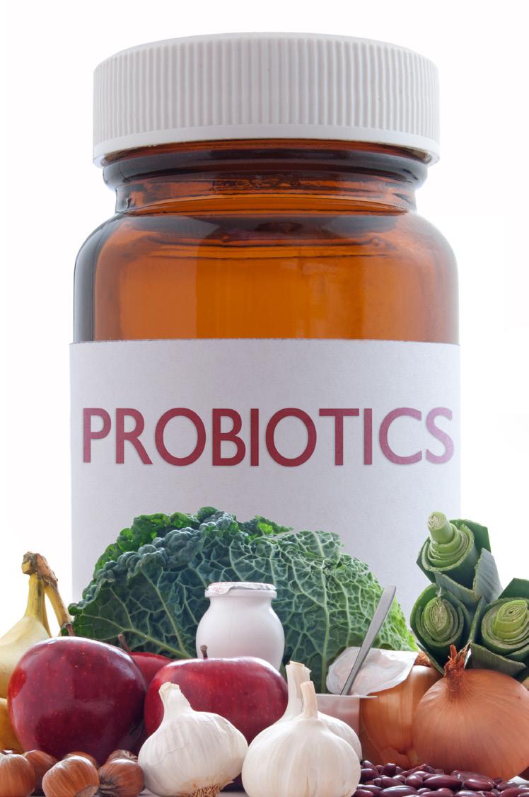 adult GI tract. These healthy bacteria help optimize the immune system, strengthen the digestive tract, and thus promote optimal absorption and utilization of nutrients by the body.