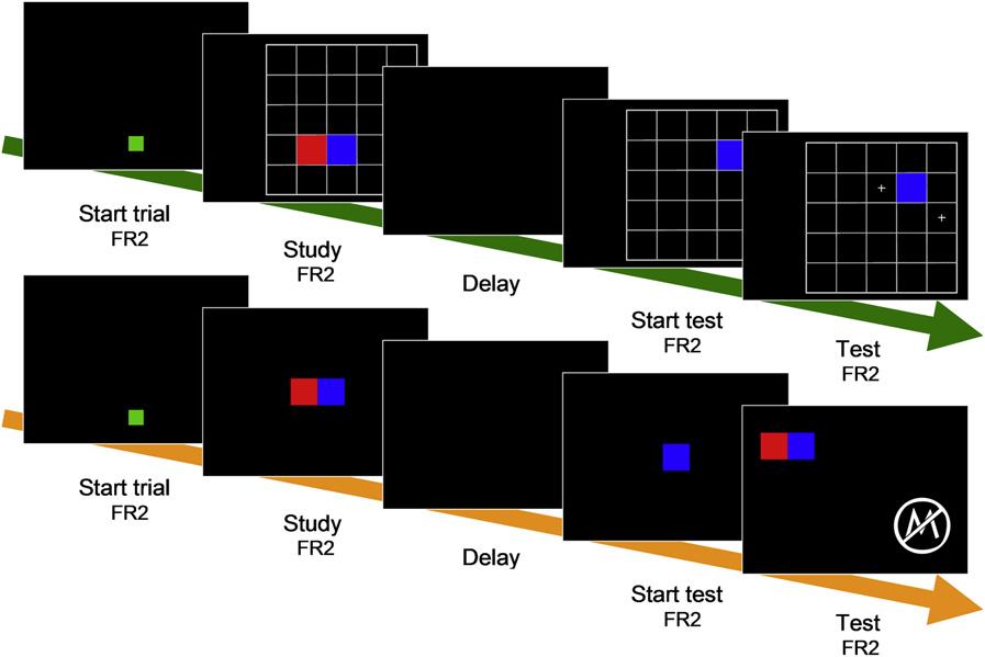 Monkeys Recall Simple Shapes 775 Figure 1. Time Course of a Recall and Recognition Trial during Comparison Schematic of the progression of a recall test (top) and matched recognition test (bottom).