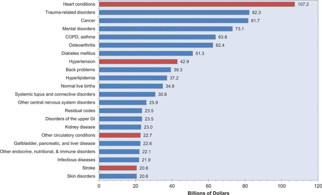 Leading Diagnoses for Direct Health Expenditures Go A S et al. Circulation.